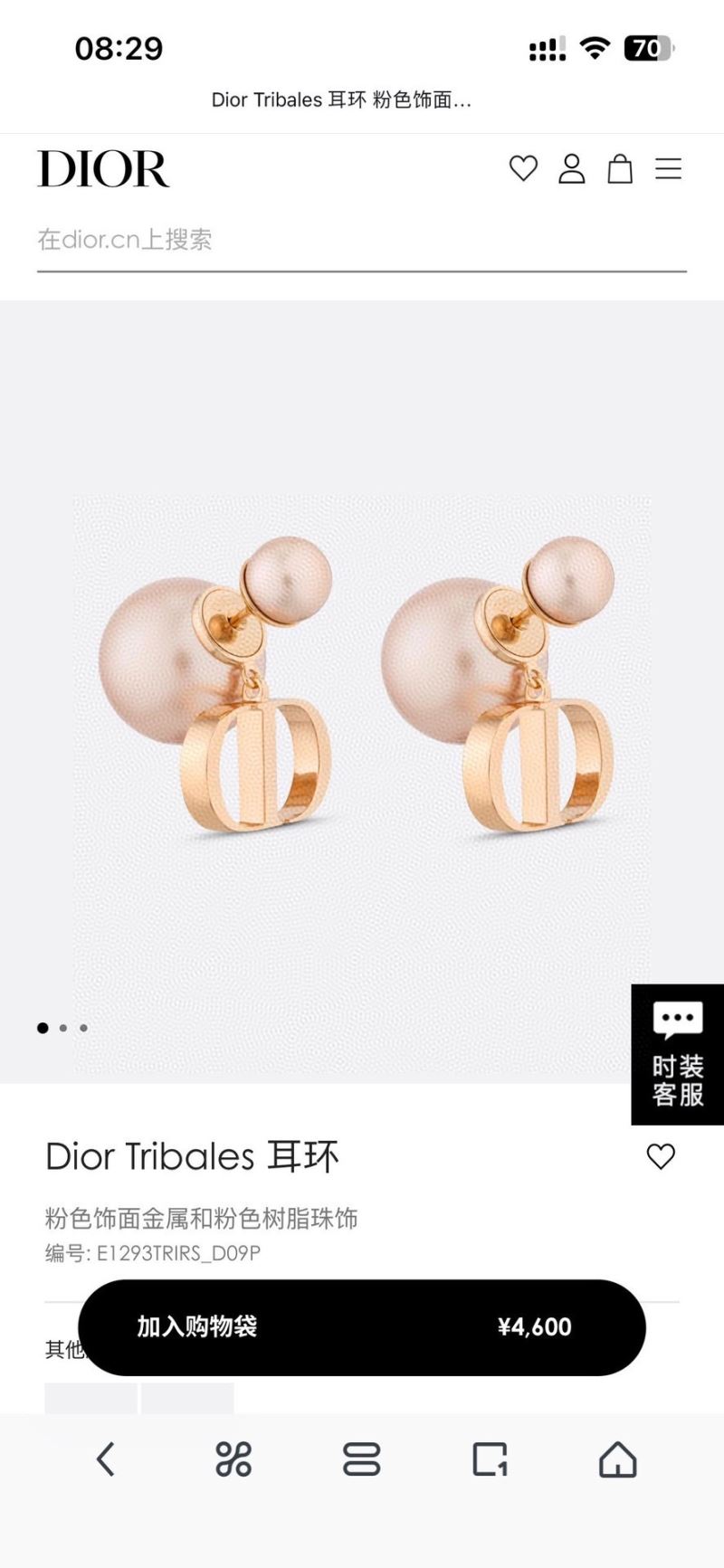 Christian Dior Earrings